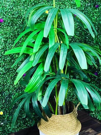 A potted artificial palm plant in a woven basket, set against a green wall. This shows how you can layer different types of greenery for a richer look.