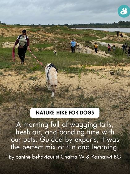 The Pack - Pet-Friendly Adventures & Meetups Guided Treks & Nature Hikes photo 6