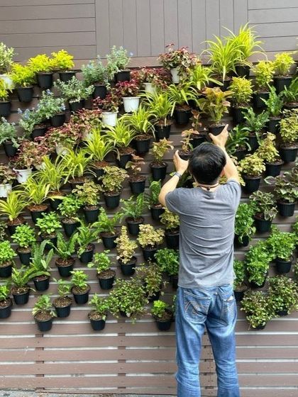 Gardening is a living art form. Our team is seen here meticulously arranging plants on a vertical wall, showcasing the hands-on passion and creativity we bring to every project.