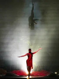 Choreography for Film, Stage & Events