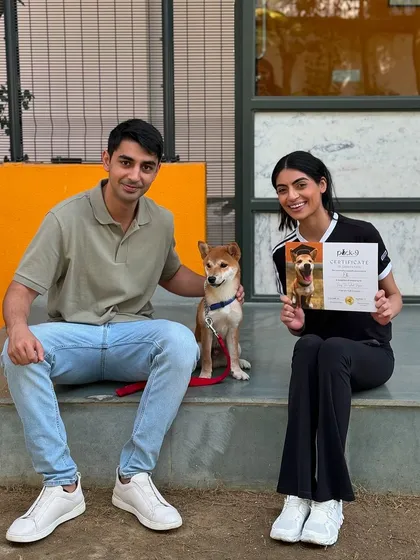 A happy Shiba Inu graduate posing with his family. This is the goal: a happy, integrated family member.