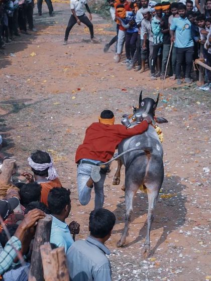 Hattihabba: The Heart of the Village Festival photo 4