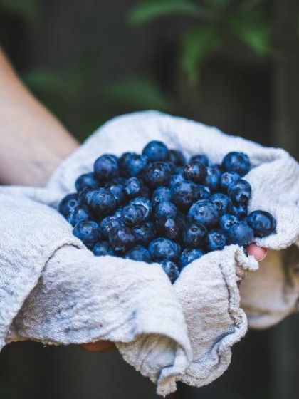 A handful of fresh blueberries, hinting at a new creation baking in our kitchen. We are constantly inspired by fresh, pure ingredients to expand our menu with exciting new flavours.