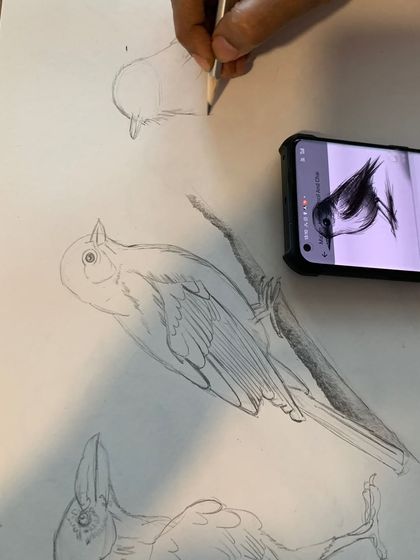 More practice in bird sketching, this time focusing on different angles and the structure of the wings and body.