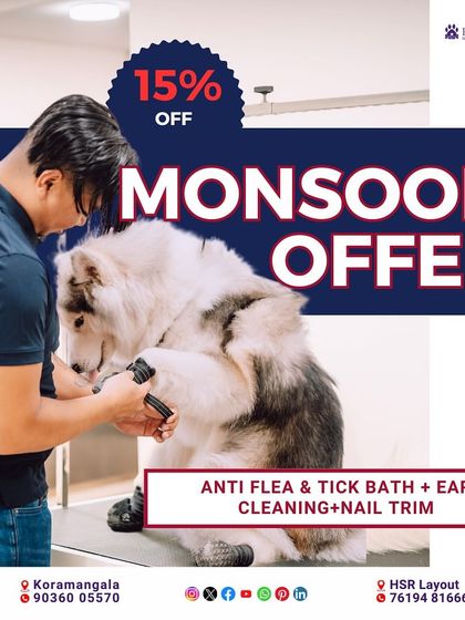 PawsnCollars - Pet Grooming & Spa Community Events & Special Offers photo 6