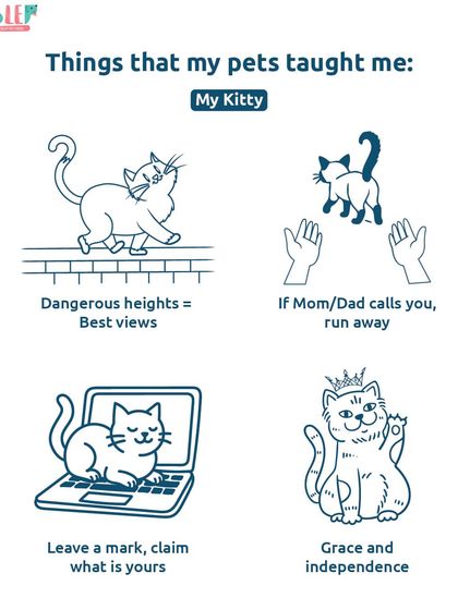 My kitty has taught me that dangerous heights offer the best views and that if your parents call you, you should probably run away. A humorous look at the independent and graceful nature of cats.