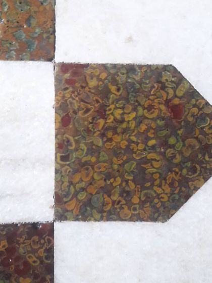A close-up of a flooring detail featuring natural fossil stone from Agra. The intricate, organic patterns within the stone create a unique geometric inlay when set against white marble.