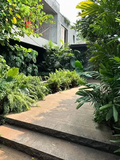 A site visit to one of our Alibaug projects shows the landscape establishing itself around the house, which is still under construction. The extraordinary growth after the monsoon is a testament to the power of the tropical climate.
