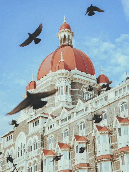 A low-angle shot of the Taj Mahal Palace hotel, with pigeons flying in all directions. It creates a sense of energy and movement.