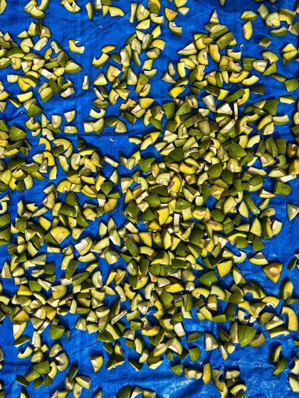 Sun drying the chopped raw mangoes is a crucial step in our process. This traditional method helps to preserve the mangoes naturally and gives the pickle its unique texture.