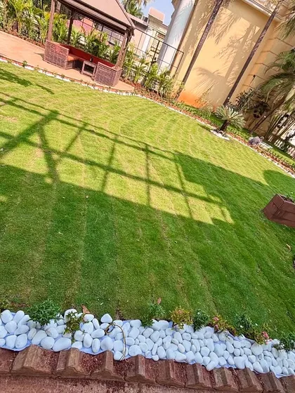 A sweeping view of a large residential lawn I installed. The white pebble border adds a clean, modern edge to the garden design.
