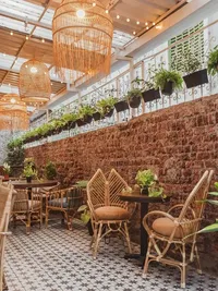 Health & Wellness Cafe