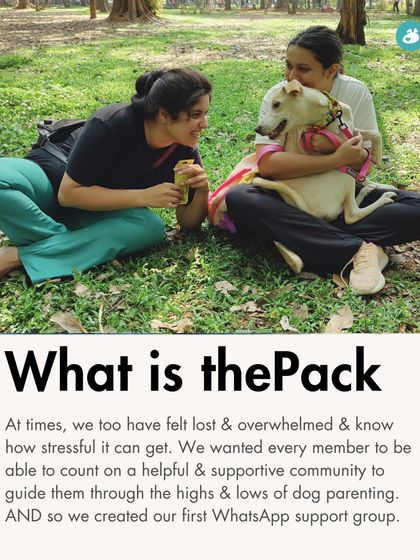 The Pack - Online Pet Parent Community Our Pack Addas: More Than Just a Walk photo 32