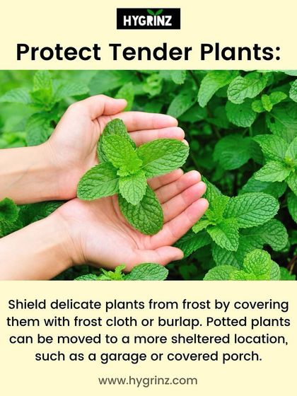 Hygrinz - Garden Maintenance Gardening Know-How: Tips & Techniques photo 12