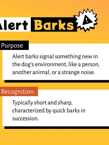 Pethowz - Pet Parent Education Decoding Your Pet's Behavior photo 3