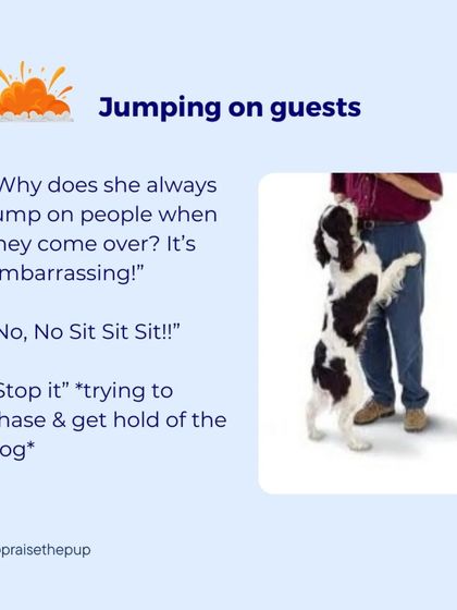 Reacting to your dog jumping on guests with "No, No, Sit!" often adds to the chaos. This is an example of a reactive approach that I teach pet parents to move away from in my workshops.