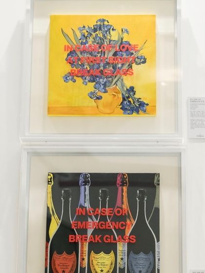 The 'In Case of Emergency' series displayed together, creating a playful and urgent call to embrace life's beautiful moments.