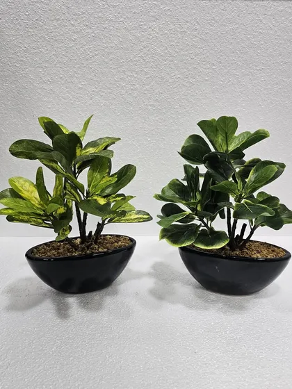 A pair of low-profile artificial plants in black bowl planters, ideal for coffee tables or low shelves.