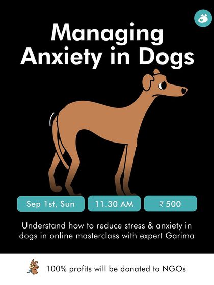 Garima Tomar - Dog Training & Behavior Consultation Online Workshops & Consultations photo 3