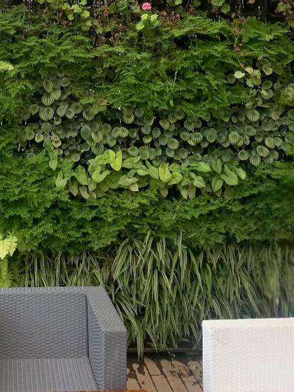 A vertical garden is a fantastic way to make a big impact, especially when you're short on floor space. This lush tropical living wall brings a burst of green life, turning a plain wall into a stunning, natural art piece that feels alive.