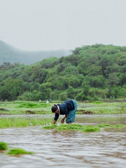 Monsoon Escapes photo 13