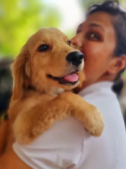 Look at this happy face! This is Bliss, a lovely Golden Retriever puppy, all set for her first road trip with her travel-friendly FurrMeals. My goal is to make healthy eating convenient and joyful for both you and your dog, wherever you go.