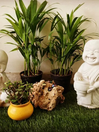 Bring some joy to your garden with these happy monk statues. Placed on a bed of artificial grass and surrounded by pebbles and plants, they create a corner that is guaranteed to make you smile.