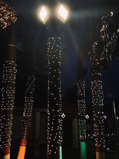 Glamorous Sangeet & Reception Nights photo 50