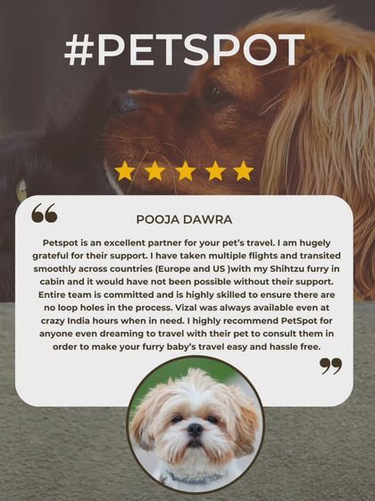 Words from Our Fur-Families photo 3