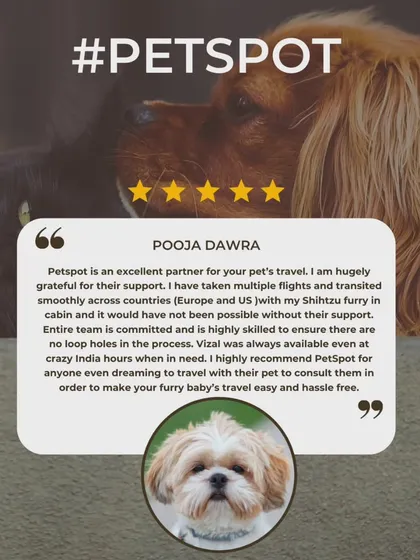 Pooja has trusted me with multiple flights for her Shih Tzu across Europe and the US. I'm so grateful for her continued support and for recognizing my team's commitment and skill.