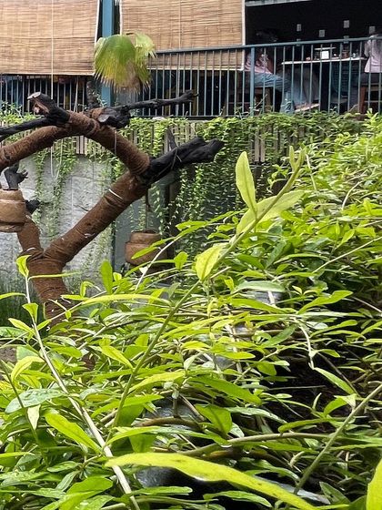 Senscape - Sustainable Architecture & Interior Design Commercial & Work Spaces photo 4