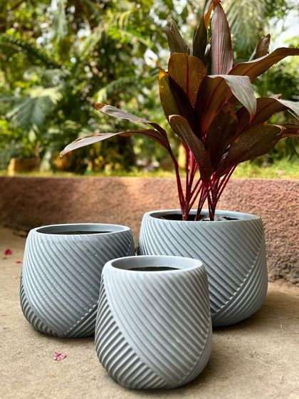 This trio of grey planters with a diagonal ribbed pattern creates the perfect cluster for a clean, contemporary aesthetic.