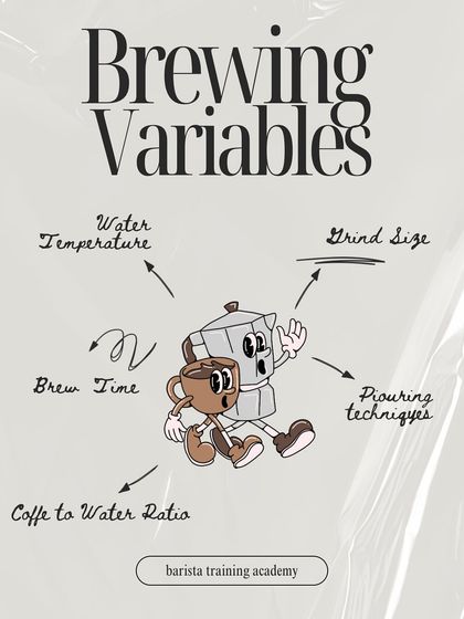 Mastering the perfect cup is a balancing act. We teach how to control brew time, water temperature, grind size, ratio, and pouring technique.