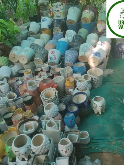 A huge variety of small, decorative ceramic pots, perfect for succulents and indoor plants.