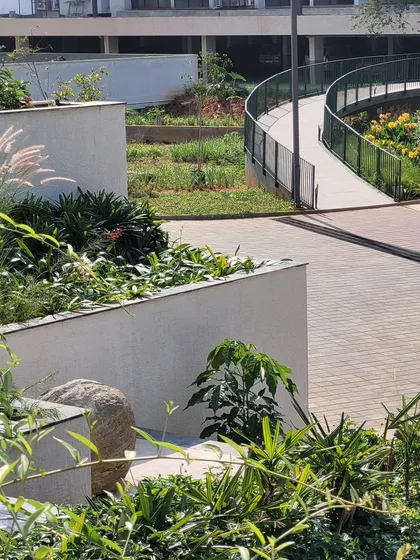 A curved bridge spans across a swale, allowing natural water flow while creating a pleasant walkway. The layered planting of ornamental grasses and leafy shrubs adds to the naturalistic feel of this podium landscape.