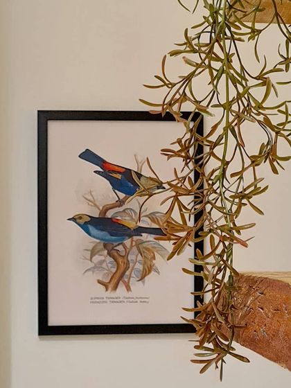 June Walk Design - Single Room Design & Remodeling Entryways, Styling & Other Details photo 6