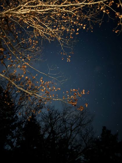A beautiful shot of the starry night sky through the trees during my winter cabin stay. This shows my ability to capture atmospheric details.