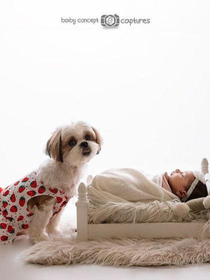 A beautifully composed shot of a newborn sleeping peacefully while their furry sibling stands guard. This high-key image is clean and bright, emphasizing the innocence of both the baby and the dog.