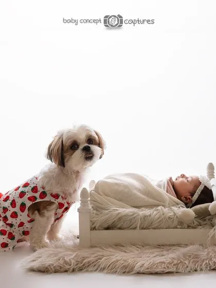 A beautifully composed shot of a newborn sleeping peacefully while their furry sibling stands guard. This high-key image is clean and bright, emphasizing the innocence of both the baby and the dog.