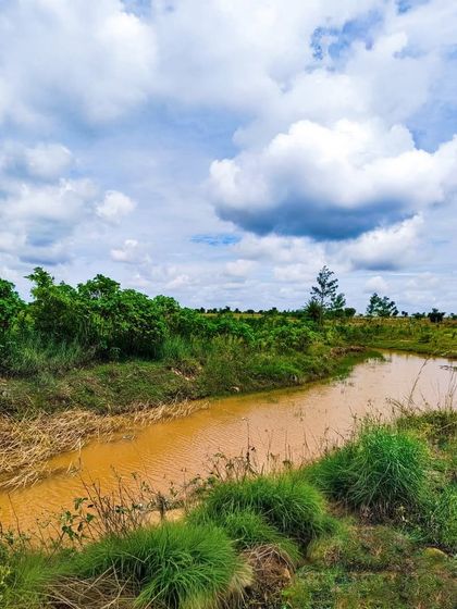 A natural pond filling up after the rains. These structures are designed to collect and store rainwater, recharging the groundwater and providing a vital resource for the dry season.
