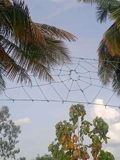 The spider-web net is a favorite among students. It challenges them to find the best path to the top, promoting problem-solving and physical fitness in a fun and engaging way.