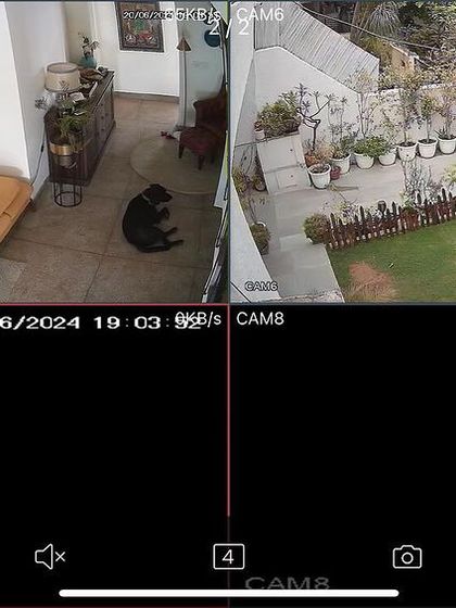 This split-screen view shows both the living room and the garden of a home. We can customize the display so you can keep an eye on your family, pets, and property simultaneously.