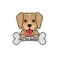 Star Pet Kennel