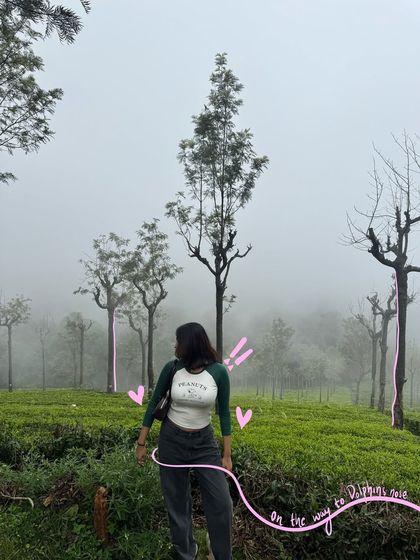 Vaishnavi Patel - Custom Photo & Video Art Travel & Adventure Doodles photo 11