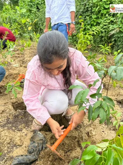 An EXL volunteer carefully tends to a newly planted sapling. This act of care is just as important as the initial planting.