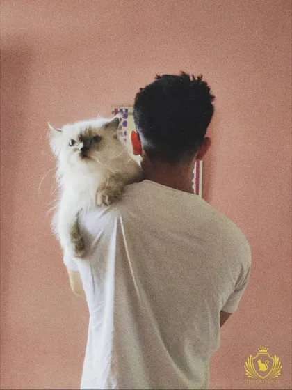 We are true cat people, and we know that sometimes a good cuddle is all that's needed. We give every cat the personal attention they need to feel comfortable and secure.