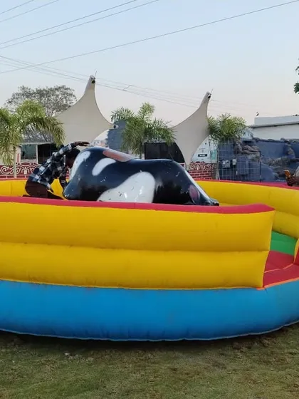 For those looking to add a bit of thrill to their event, our mechanical bull rental is the perfect choice. It's a safe and incredibly fun attraction for corporate events, milestone birthdays, or any party that needs a dose of high energy.