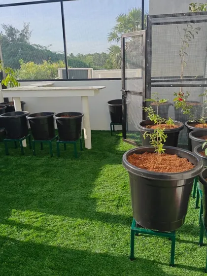 Another view of our Kelambakam project, showing how we arrange planters to create space and flow, making the garden feel both full and open.
