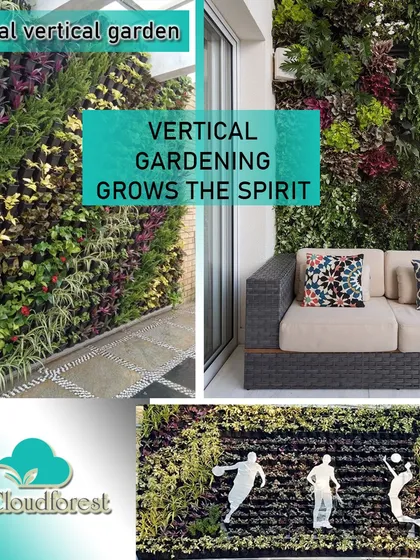 Your garden should be as unique as you are. This collage highlights my custom design capabilities, from creating vibrant tapestries of colorful plants to embedding artistic silhouettes for a truly personal touch. Your wall can be a living work of art.