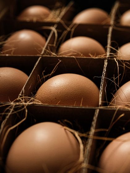 Food & Beverage Stories photo 19